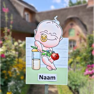 Geboortebord tuin baby met roos leunt op fles